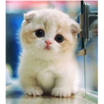 Please Donate I need MY SIS IS GOING TO KILL ME