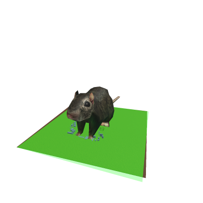bhop_rat