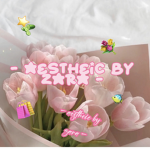 - aestheics by zara