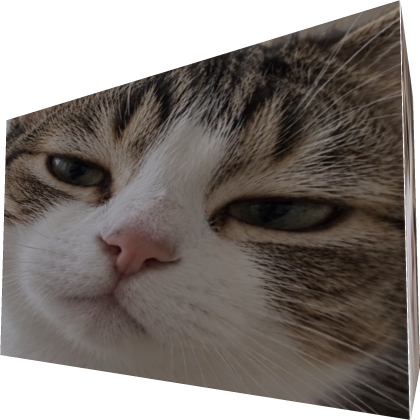 Cat Box