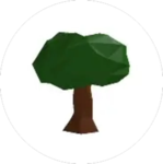800px