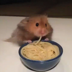 Oi Sososososososososososo