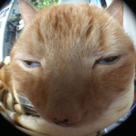o001