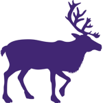 Just Your Average Purple Reindeer