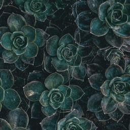 ᴀ