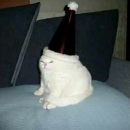 Images/funny cat (1) Roblox decal
