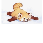 Pretty Perfect Pandas