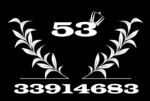 53.