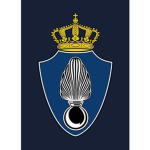 Koninklijke Marechaussee I Den Haag Stad