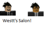 Fashion Dressers