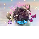 The Pug Fan-Club