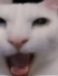Los Skibidi Fortniters Group Thumbnail