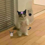 Nyan Cat :D