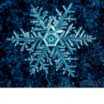 Snowfllaake Team