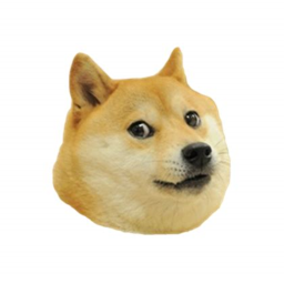 Doge Hangout!