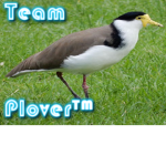 Team Pluver