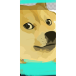 Doge Group73838