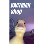 Bactrian Rebellion