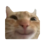 Firelol383 Official Group!