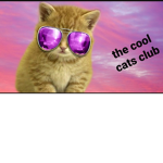 Coolest cats on roblox