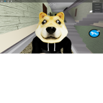 doge man's
