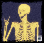 Mr skeletons group