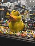 legion of duckies