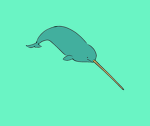 Narwhale Fan Club