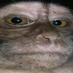 hdfhnui2435_Раздачи
