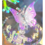 .zephyr.