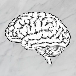 Brain Effects