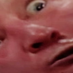 GUESS THAT WWE WRESTLER