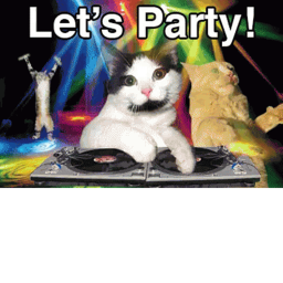 Kitty Party 🎉 - The destruction damaged.