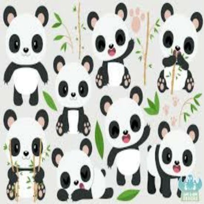 cute panda wallpaper Roblox decal