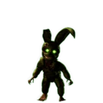Fetus[censored]