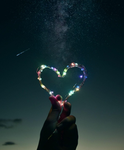 •~Only Girls Love!~•