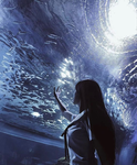 ⋆ the ethereal place ⋆