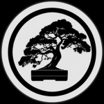 Kinsai Corporation