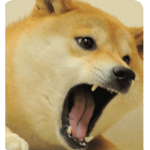 Doge emp1res