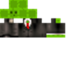 IIXEE13