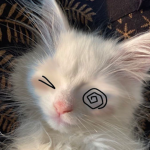 Soroa