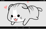 Mr cat nation