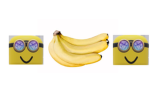 The NO.1 minion group