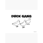 mr ducky gangy