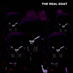 THE REAL GOATS OF THE NIGHT