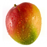 MANGO CLAN NL