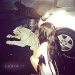 luxia !!
