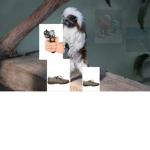 Monkey group ultimate