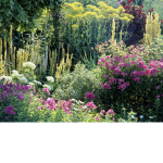 gardening flowers!