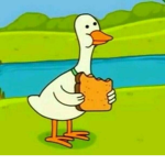 Bobux income